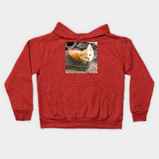 A red kitten sitting in a shoe Kids Hoodie